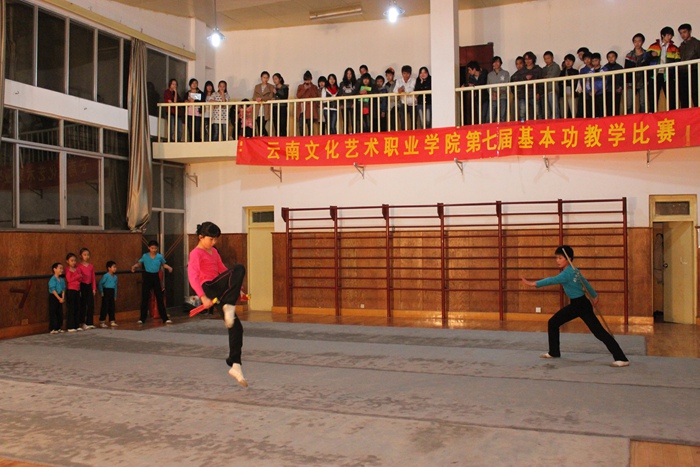 云南文化艺术职业学院-杂技学院