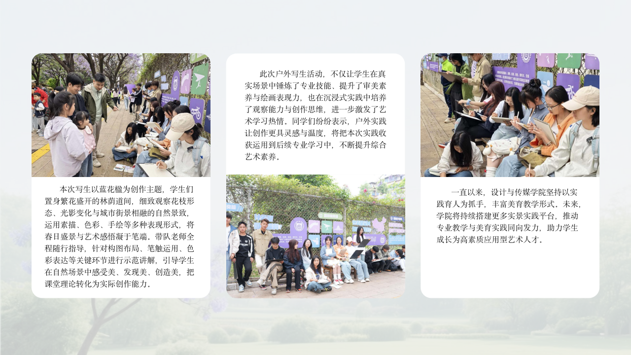 蓝花楹主题PPT模板_03.png