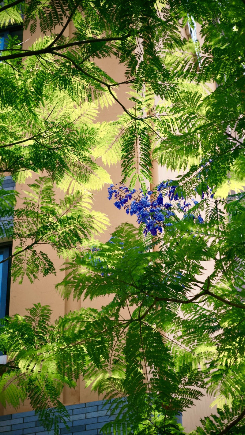0528_1.JPG