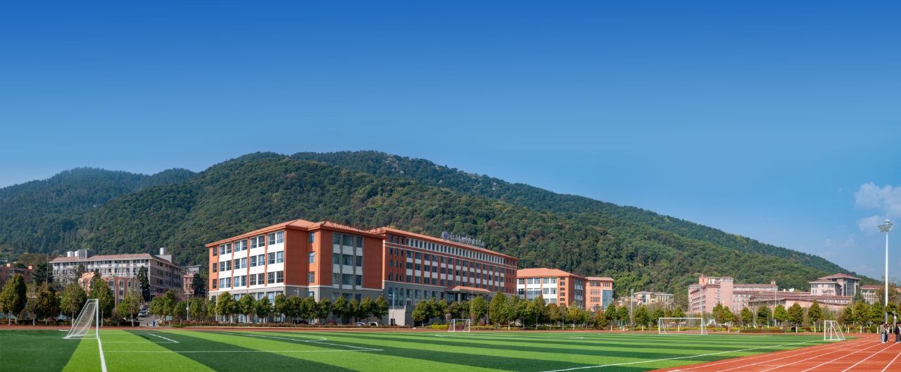 云南文化艺术职业学院2026年春季招生、职教高考招生章程